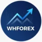 flux dev create a sleek and modern logo for a professional woo 2